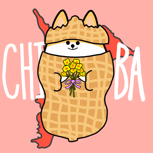 96429750176668194335257482184989346031143601308384064169057879810360429510657