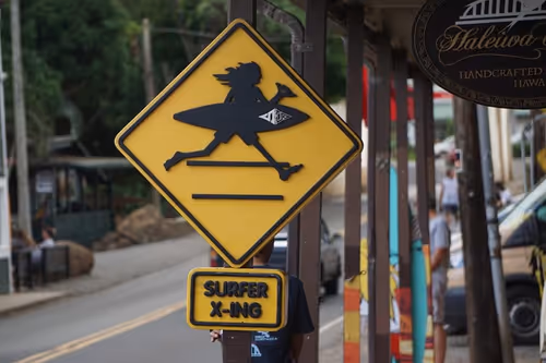 Item #41013704286635162959004487776095067176603519769359421915548602572365063258113 Media