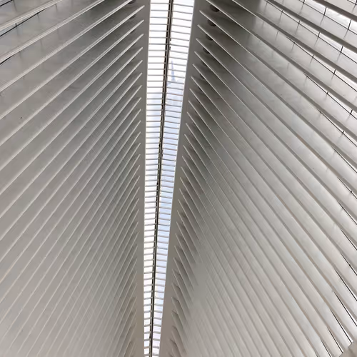 Nyctalktome