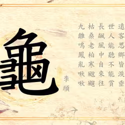 Hanzi 龜