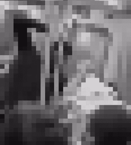 Another White