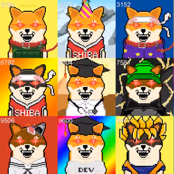 The Doge Coin Killer - 33 Shiboshis Laser Eyes + Growl