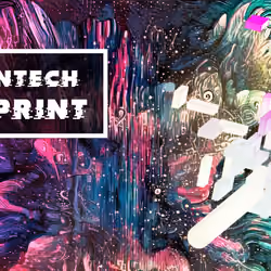 Fintech Blueprint 0009