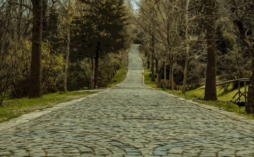 Digital Street Landscape