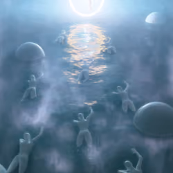 COLONY