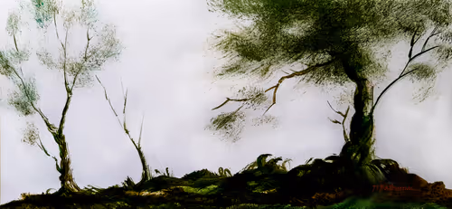 Item #47838822759150275208013295306376764959670823232170993947215366093564727525377 Media