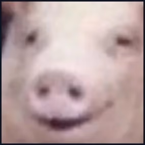 pepeg