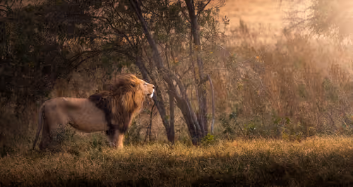 Item #46146454175190830687847236221543248864679735900060228179798027764905346596865 Media