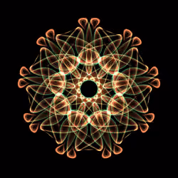 Beautiful Nonagon. 20210826_01