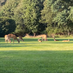 90554348501187123483596379168260119643540702018194998506702137039362558263297