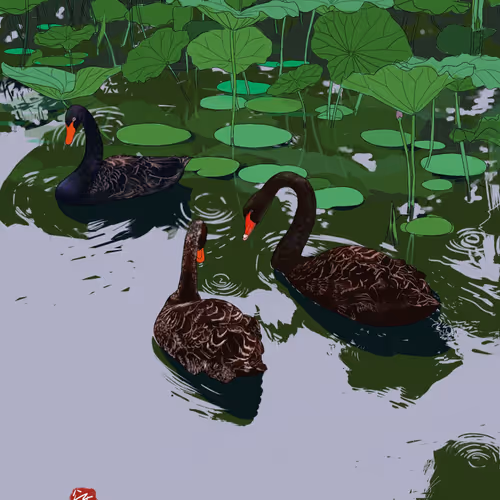 Black Swan