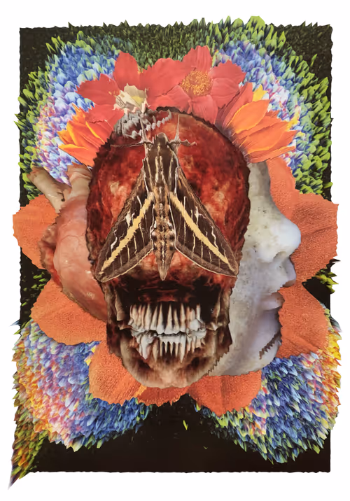 Item #109156396159921819544977758369102320145302531994816138124186017701835516674049 Media