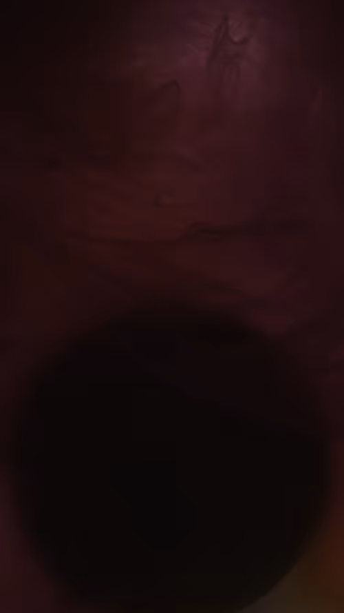 Item #69697712423286849164793396552019261376778147468357060091321782867846970212353 Media