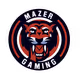 Mazer Gaming
