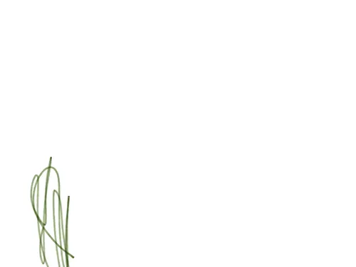 Item #82123221454987848381739665911331684073453472035376970183017665482162362646529 Media