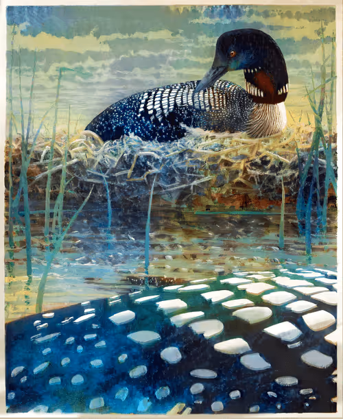 Item #12489479975597442904075550683828375763724097924832948667486829897572507713537 Media