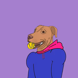 56207060566857878026370727863859684632746074952532842293882533488306660835329