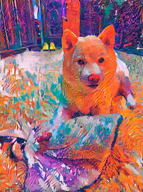 Item #48294251202362443440635964745477949159686229301689109113357186552244205518849 Media