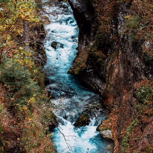 N Ature Ft By Frko