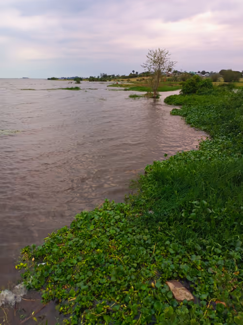 Item #94540594873627566214253693638695074369245433436911139179040268741670718144513 Media