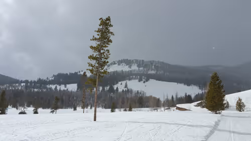 Item #40155765618710436166086939497654954200634111520779775679327188999672229265409 Media