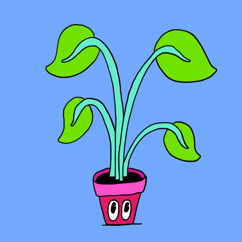 69922828041142356557675366980639324541671306626962076279007092468724688486401