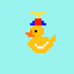 CryptoDucky #12