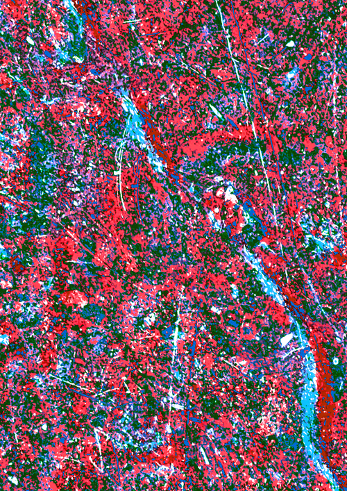 Item #109034851881345239231320671817287980945134628263642951219996252300761286836225 Media