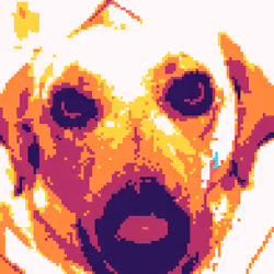 DoggoXoXo