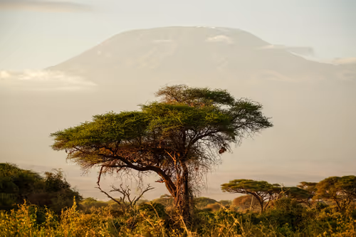 Item #112687108726403883410693318050335134033730152849283902503465333992447534956545 Media