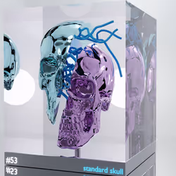 crypto.skulls#53