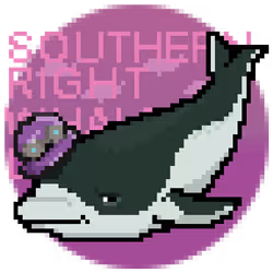 76886183400510986828564600332623285787207885382450708502093141748949108916225