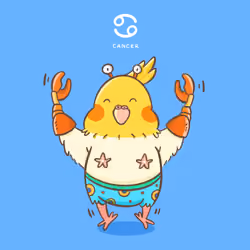 Cockatiel Bird - Cancer ♋️