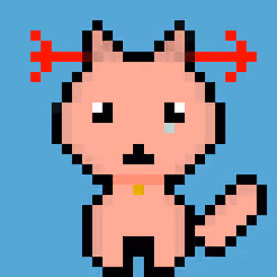Salmon Cat #3