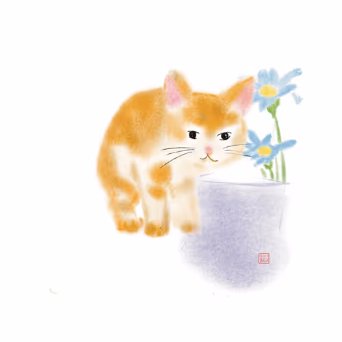 with_cat_sureul Collection
