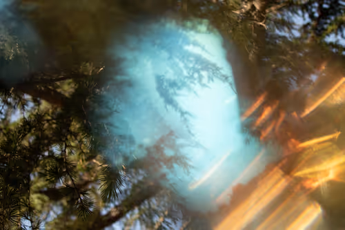 Item #27434377377013038178664737441891876800279773627045091571206927233059167141889 Media