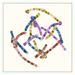 107937117699900001194099939943306584939867407144504846123696048312481386332161