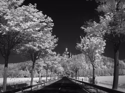 Item #40160686583094733528677484039903516258611509642019211679321071623296444792833 Media