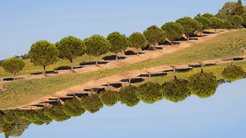 Item #94576621416487951025463850694389914524968034803155250178324902462105543770113 Media