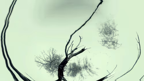 Item #24967146477419090921560663038626653354572651960968859782515528579089914920961 Media