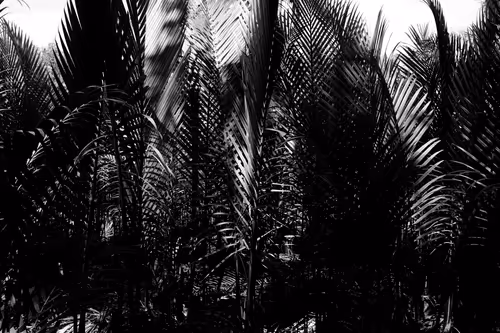 Item #70709754809106811392742252516309767364027137377467956991874521144507047608321 Media