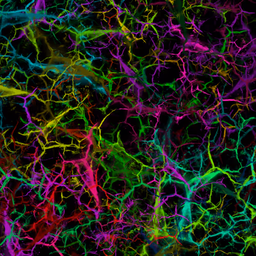 Item #50918555062582210159273167721725581522404743190091886750106034856405330034689 Media