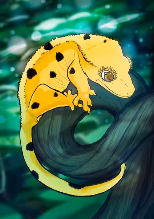 Item #23546686719633506406095790157609111049750244779414073605876924951672414797825 Media