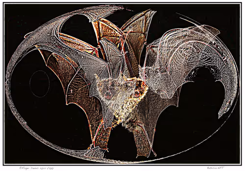 Item #11017776651197561377596972513232318538951070019919471549436519139129545457665 Media