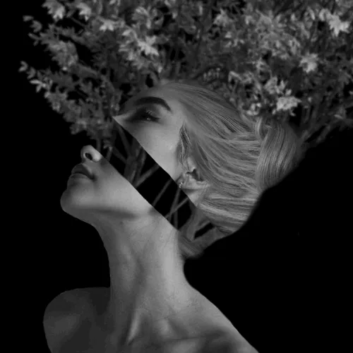 Item #44977390919060639513505607068705583876735982340724914493800311820901632966657 Media