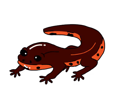 Item #45653737007051702166868604087473476661167283222562412513573621193391992733697 Media