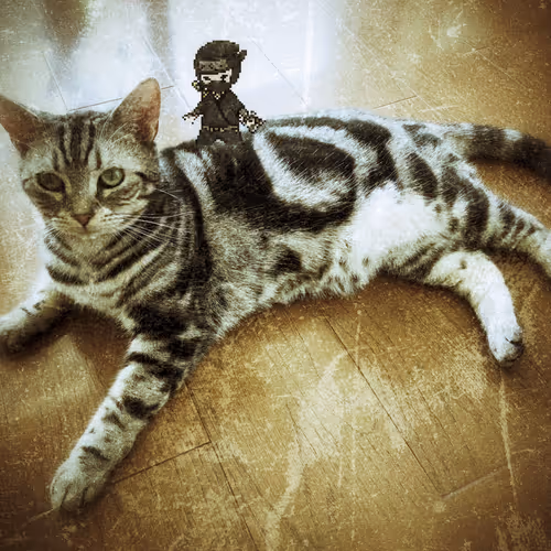 ototto Collection - old V2