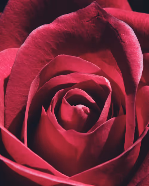 Item #61140817841535323188943582947873458398896939162862574355994582766716297674753 Media