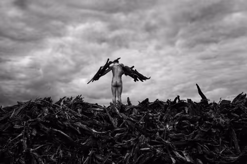 Item #81425468840217938130335513187731669853655760223415782332089084422849724153857 Media