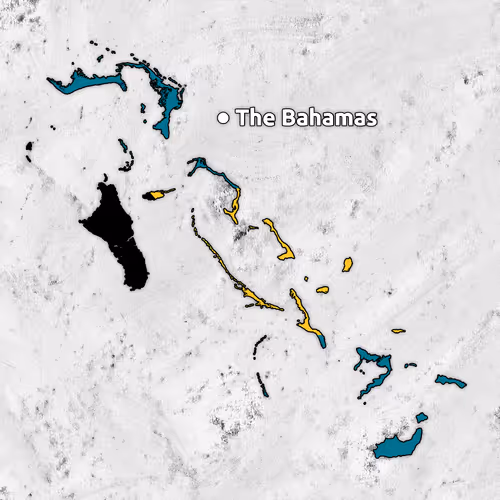 Item #11976756734337970498208291233410958730184699917260792952346209279329133658113 Media